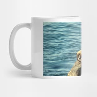 Point Dume State Beach Mug